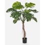 Konstväxt Philodendron Monstera Deliciosa IDALINA, rötter, 130cm