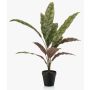 Konstgjord växt Calathea Makoyana WIDO i dekorativ kruka, grön-vinröd, 60cm