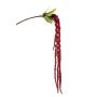 Konstgjord gren av Amaranthus KORALIE med blommor, röd, 120cm