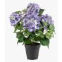 Konstgjord hortensia DORJA i dekorativ kruka, lila, 40cm