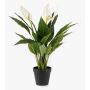 Konstgjord enblad RANIESO, dekorativ kruka, blommor, vit, 55cm