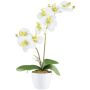 Konstgjord Phalaenopsis-orkidé KRUZBER, keramikkruka, rötter, vitgrön, 55cm