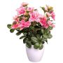 Konstblomma azalea FRALVI i dekorativ kruka, rosa, 26cm