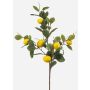 Konstgjord citrongren QUEOSHA med frukter, gul, 95cm