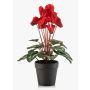 Konstgjord cyclamen VERIANA i dekorativ kruka, röd, 30cm
