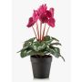 Konstgjord alpskugga VERIANA i dekorativ kruka, cerise, 30cm