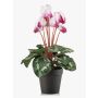 Konstgjord alpenviol VERIANA i dekorativ kruka, vit-cerise, 30cm