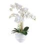 Konstgjord Phalaenopsis-orkidé STONFER, dekorativ kruka vit, rötter, vit, 70cm