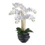 Konstgjord Phalaenopsis-orkidé STONFER, dekorativ kruka svart, rötter, vit, 70cm