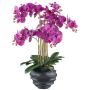 Konstgjord Phalaenopsis-orkidé STONFER, dekorativ kruka svart, rötter, lila, 70cm