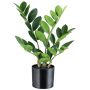 Konstgjord växt Zamioculcas BLUHAR, 35cm