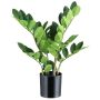 Konstgjord växt Zamioculcas BLUHAR, 45cm
