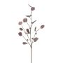 Konstgjord eukalyptusgren TRAVON med frukter, aubergine, 75cm