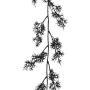 Konstgjord girland Asparagus sprengeri NAFTY, svart, 175cm