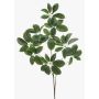Dekorativ kvist Schefflera PARVANEH, grön, 110cm