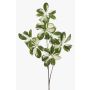 Dekorativ gren Schefflera PARVANEH, grön-vit, 110cm