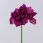 Konstgjord amaryllis SARNUK, violett, 80cm