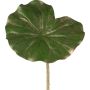 Konstgjort blad, vattenlilja MINDA, grön-guld, 70cm