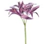 Konstblomma hymenocallis GRISTEN, lila, 85cm