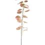 Dekorativ gren svartpoppel SOLVEN, rödgrön, 120cm