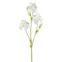 Dekorativ irisgren KLAVO, vit, 80cm