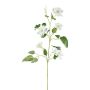 Konstgjord blomma, gren av klematis ZOLME, vit, 110cm