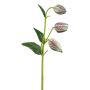 Konstgjord blomma, schackbrädesblomma FRENT, grön-röd, 55cm
