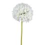 Konstgjord blomma Allium KLATE, vit, 90cm, Ø15cm