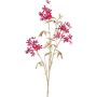 Dekorativ kvist av flammträd KONEE med blommor, röd-guld, 80cm