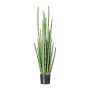 Konstgjord suckulent Sansevieria cylindrica VROSKE, grön, 140cm