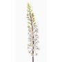 Konstgjord blomma steppljus SCHENRA, vit-grön, 95cm