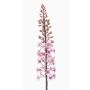 Konstblomma Steppljus SCHENRA, rosa, 95cm