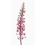Konstblomma steppljus SCHENRA, cerise, 95cm