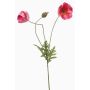 Dekorativ kvist med vallmo SCHUNRA, rosa, 75cm