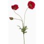 Dekorativ kvist med vallmo SCHUNRA, röd, 75cm