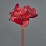 Sammet Amaryllis konstblomma KIRSTY, röd, 70cm, Ø13-15cm