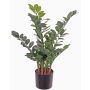 Konstgjord Zamioculcas JANGOLIE, 70cm