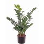 Konstgjord Zamioculcas JANGOLIE, 70cm
