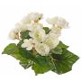 Konstgjord begonia BIRMA på stödpinne, krämfärgad, 20cm, Ø3-5cm