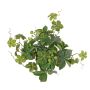 Konstgjord jungfrurebe-buske AMYCUS på stickpinne, frukter, grön, 35cm