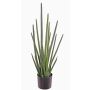 Konstgjord Sansevieria Cylindrica ASTARIA, grön, 95cm
