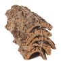 Naturkorkbarkbitar DIANTHA, 5 stycken, brun, 50x25cm