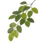 Konstgjord banyanfikon-gren ERASMOS, svårantändlig, grön, 80cm