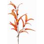 Textil eukalyptusgren EUSEBIOS, orange-gul, 100cm