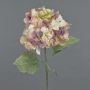 Konstblomma hortensia URANIA, torkad look, gammaldagsrosa-kräm, antikrosa-krämfärgad, 75cm, Ø20cm