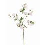 Konstgjord trichterblomma, gren IORDANIS, vit, 80cm, Ø3-5,5cm