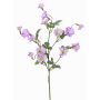 Konstgjord trichterblomma, gren IORDANIS, lila-grön, 80cm, Ø3-5,5cm