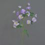 Konstgjord trichterblomma, gren IORDANIS, lila-grön, 80cm, Ø3-5,5cm