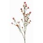 Konstgjord vaxblomma NIANG, orange-röd, 80cm, Ø1,5-2,5cm