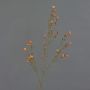 Konstgjord vaxblomma NIANG, orange-röd, 80cm, Ø1,5-2,5cm